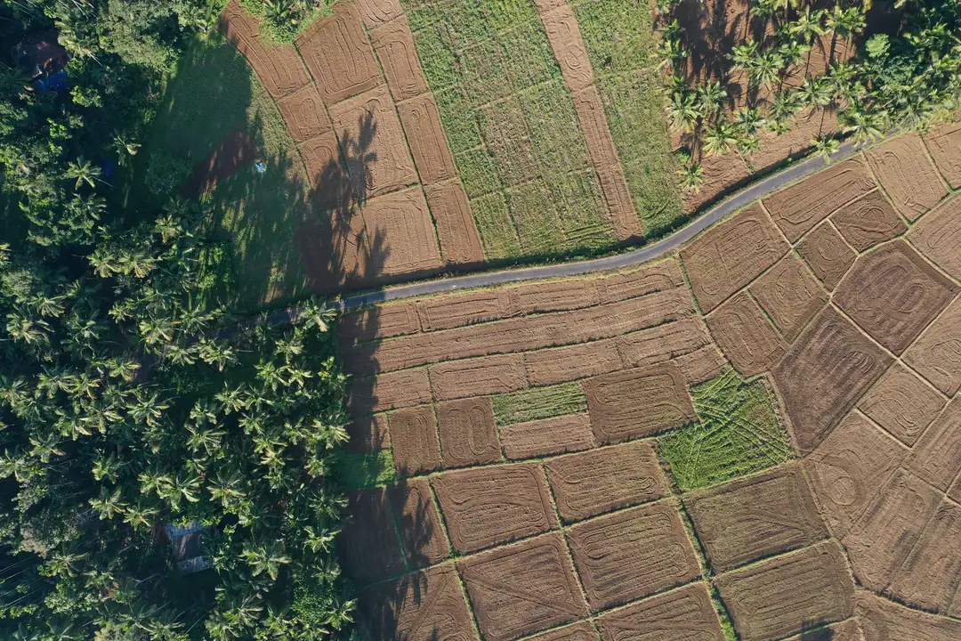 Aerial view of farmland parcels in rural India (representative image)